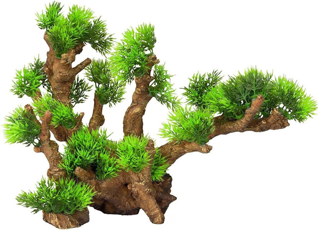 Meilleurs prix pour EBI Aqua Della Flora Scape 12 XL (autres lments), Dcoration d'aquarium