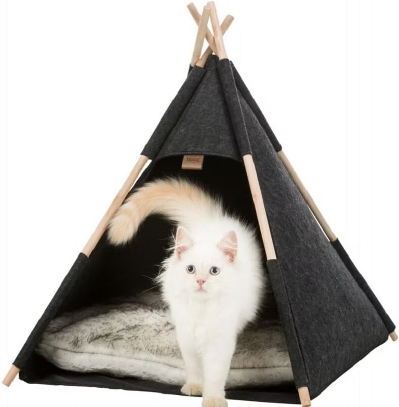 Abri tipi pour chats