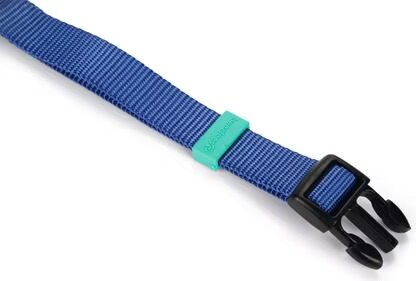 Comparer les prix de Beeztees BZ NYLON COLLIER UNI BLEU 35-50 (Chien, Sport canin), Collier + laisse