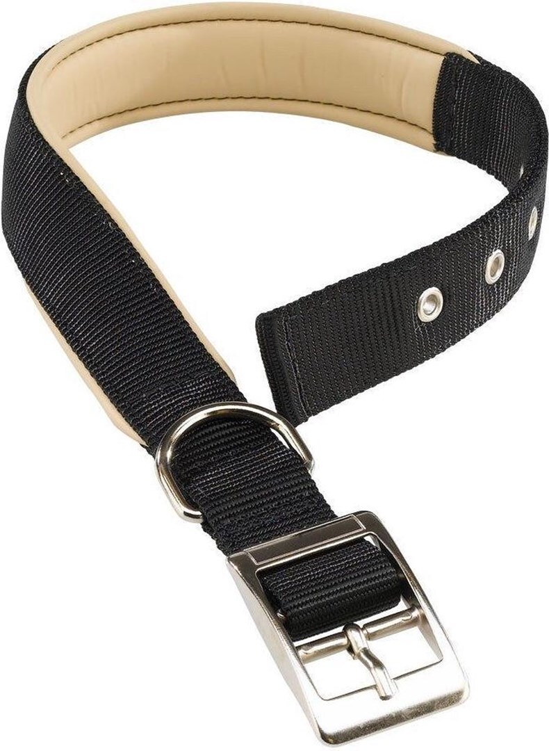 Ferplast Collier chien chiens nylon souple rembourrage FERPLAST DAYTONA différentes tailles et couleurs Noir