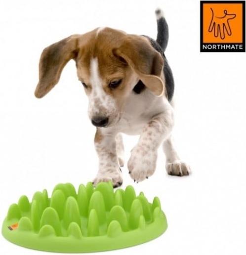 Meilleurs prix pour Northmate Green mini - (9510107), Jouets pour chien