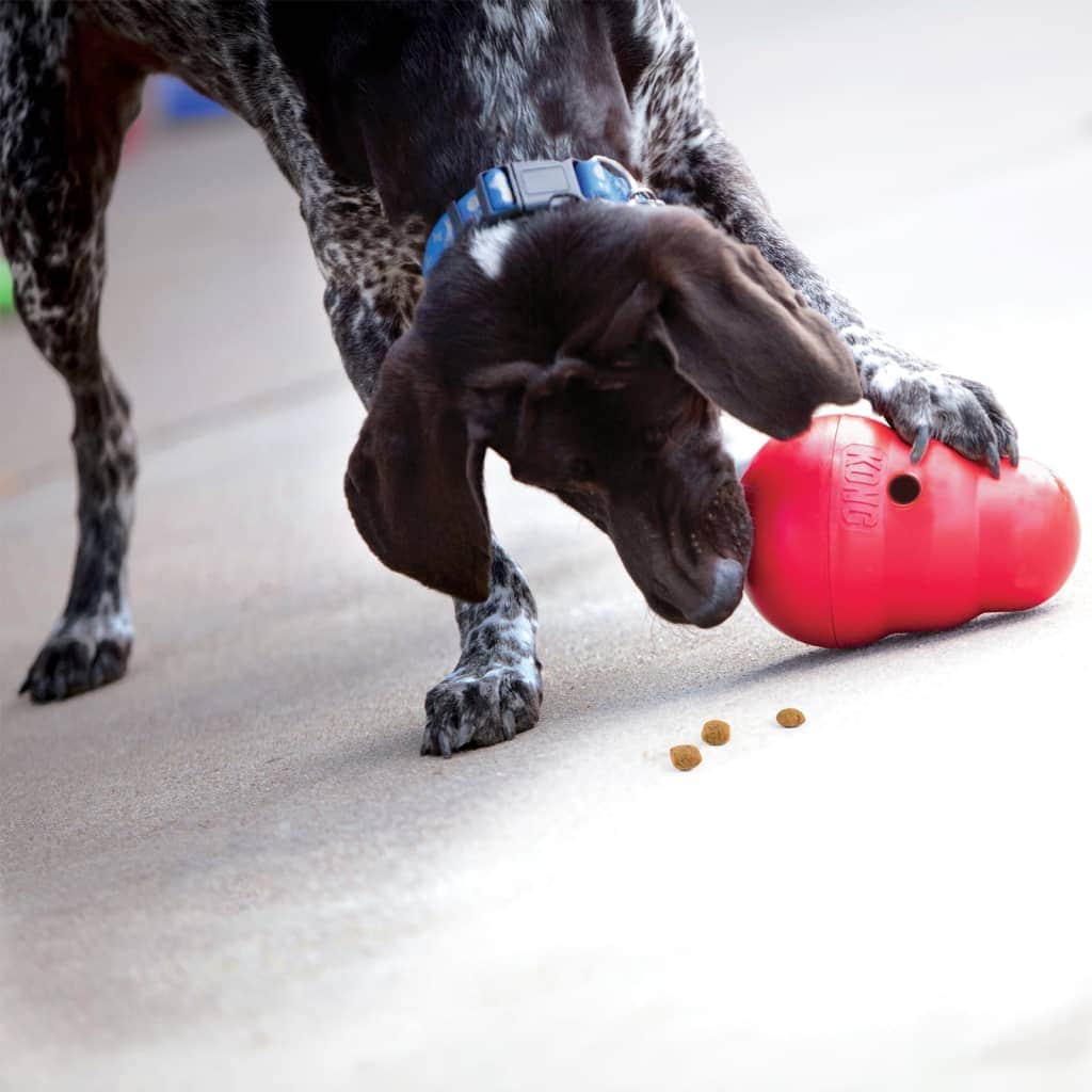 KONG Wobbler snack ball for dogs Food balls buy at Galaxus