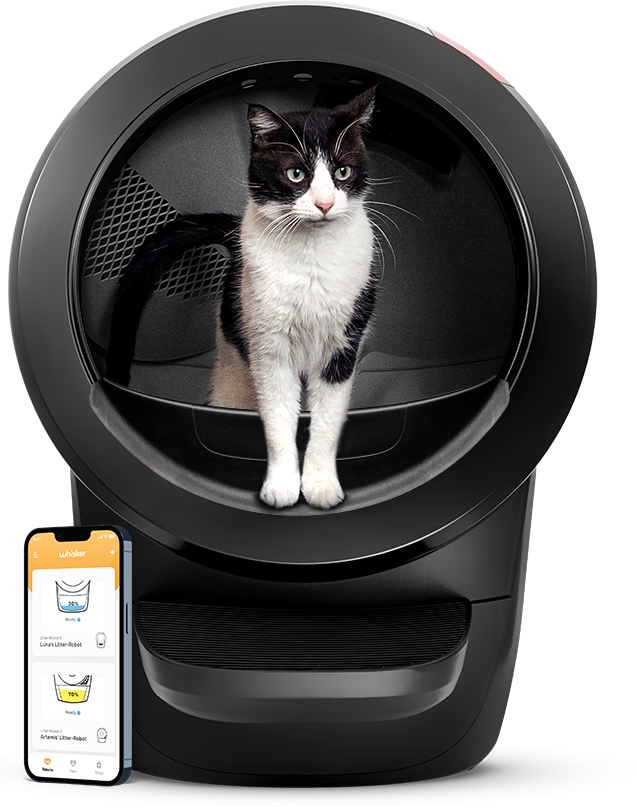 Litter Robot 4 Self cleaning litter tray Cat litter box closed Galaxus