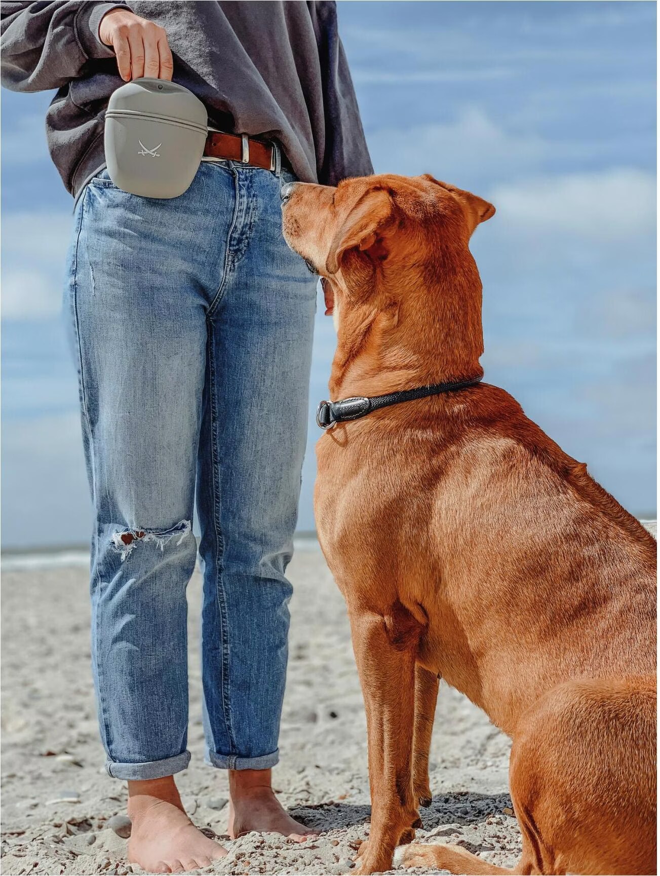 Hunter Dressurhalsband Freestyle mit Stopper (Chien, Gnral), Collier + laisse