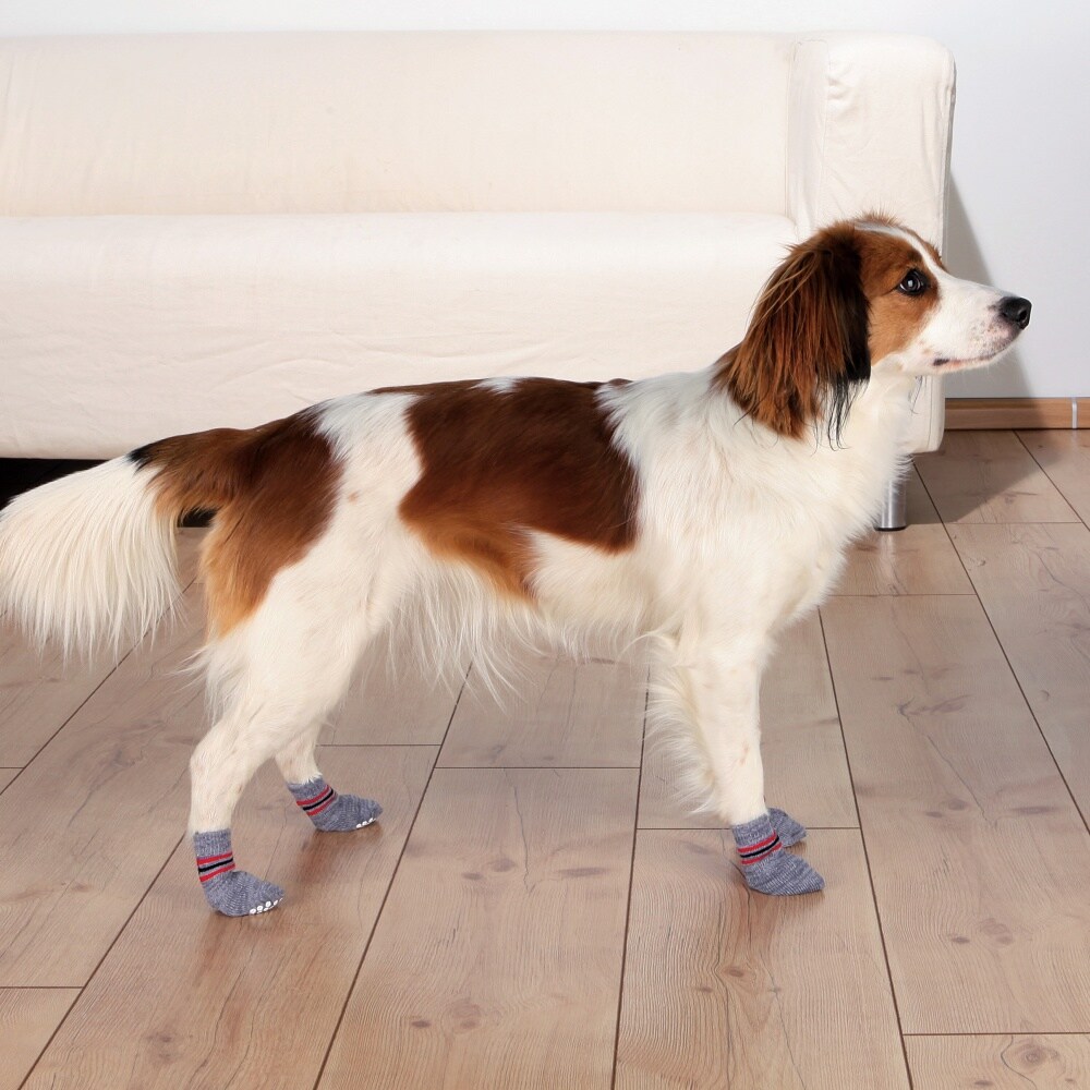 Xs dog socks on sale