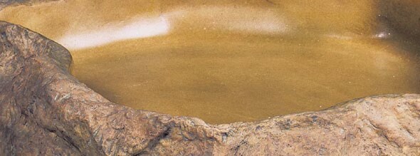 Exo Terra Bol d'alimentation M 22x19x3.5cm, Aménagement pour terrarium