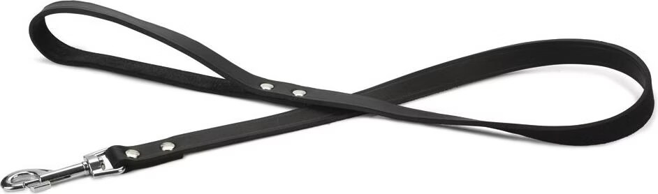 Meilleurs prix pour Beeztees BZ LAISSE EN CUIR NOIR 100X20 (100, Chien, Sport canin), Collier + laisse