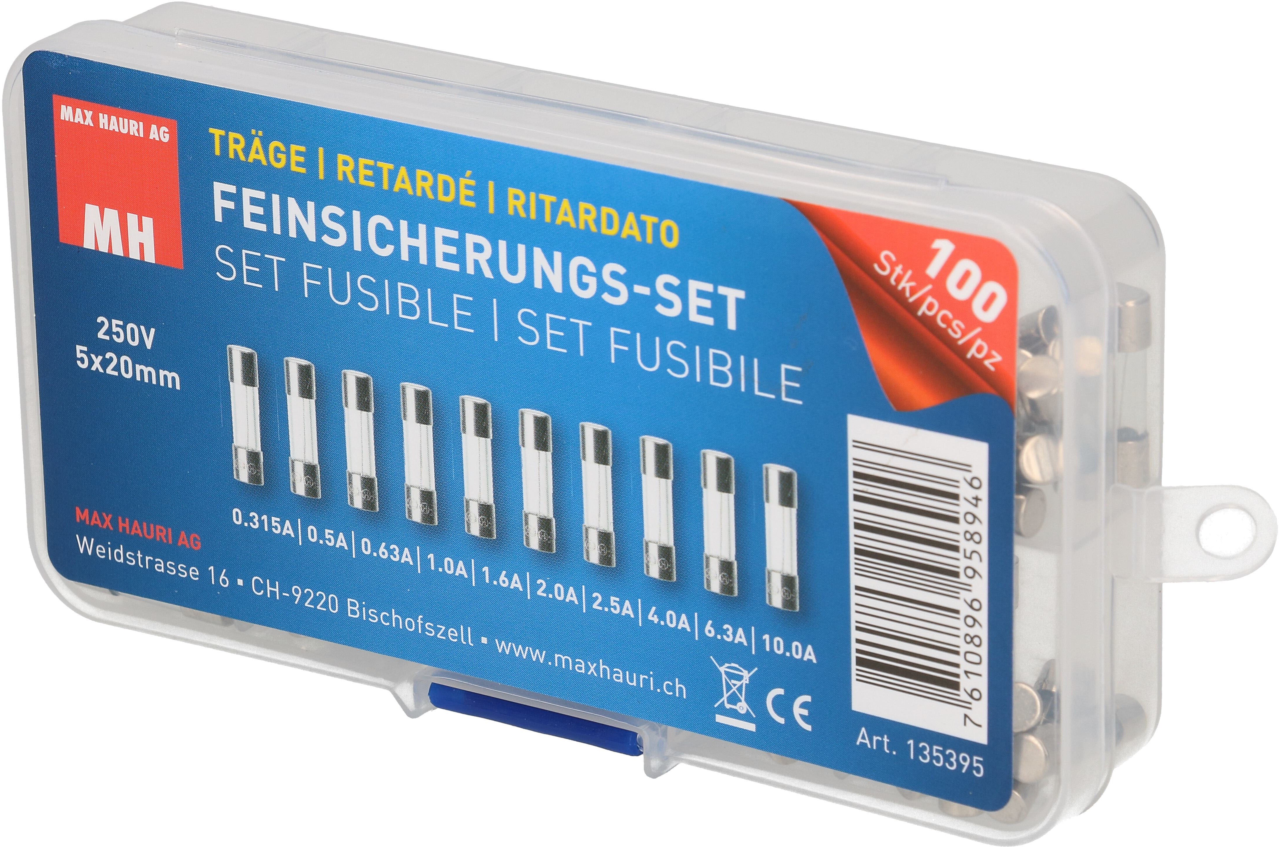 Max Hauri Feinsicherungs-Set (Feinsicherung 10 A Träge) Galaxus