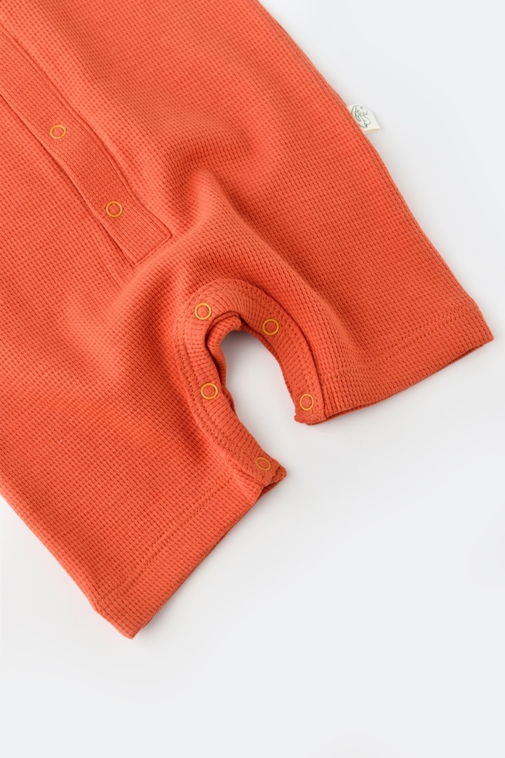 BabyCosy Strampler kurze. kurzarm (74) kaufen NF7130