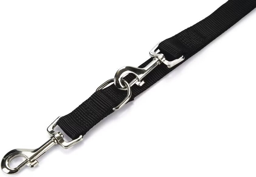 Beeztees BZ NYL LAISSE DE CONDUITE DOUBLE 200X (Chien), Collier + laisse