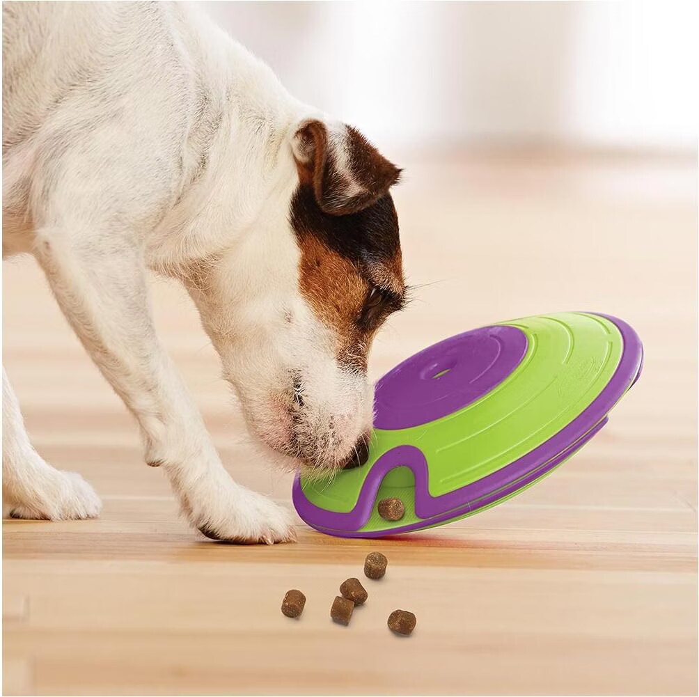 Outward Hound Jeu pour chiens Nina Ottosson Treat Maze Violet et vert