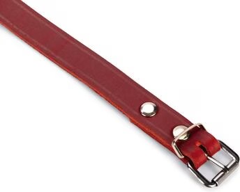 Karlie Collier Rondo, rivet (L, Chien, Promenade), Collier + laisse