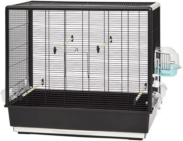 Cage Savic Primo 60 Knock Down noire - H70cm