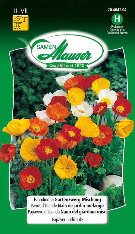 Samen Mauser Islandmohn Gartenzwerg Mischung (Pflanzensamen) Galaxus