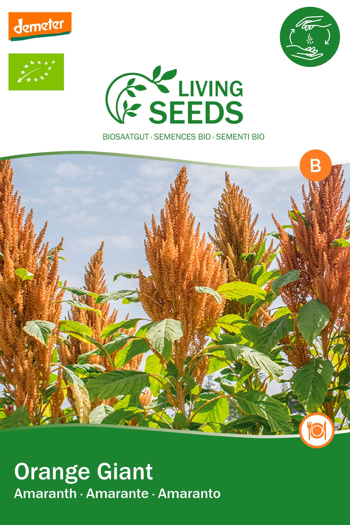 Living Seeds Amaranth orange Giant (Blumensamen) kaufen