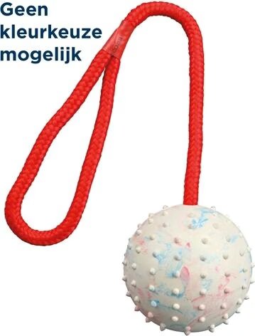 Balle caoutchouc dur pour chien