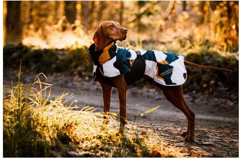 Manteau Rukka® Stormy, camouflage pour chien - longueur du dos : 43 cm environ (taille 40)