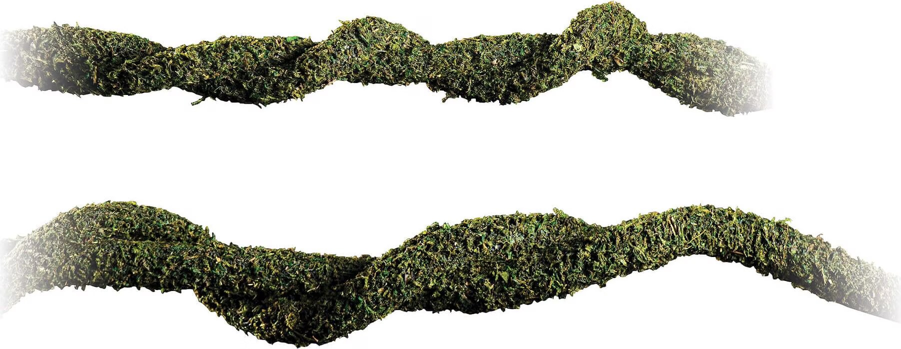 exo-terra bendable moss vine - small - pour reptile ou amphibien