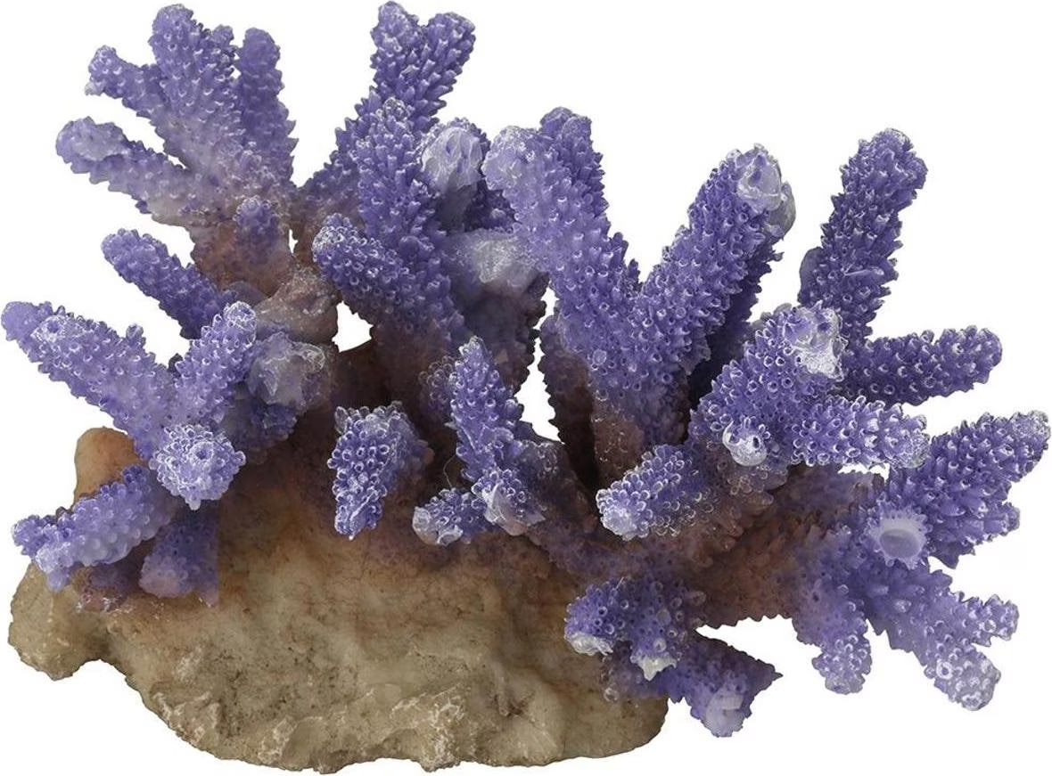 Comparer les prix de EBI Aqua Della Coral Acropora (Dcoration, autres btiments), Dcoration d'aquarium