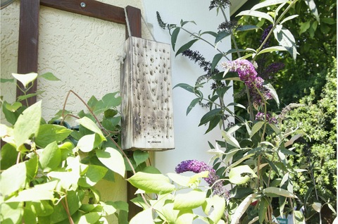 Windhager Wildbienenholz (Wildbienen) kaufen bei Galaxus