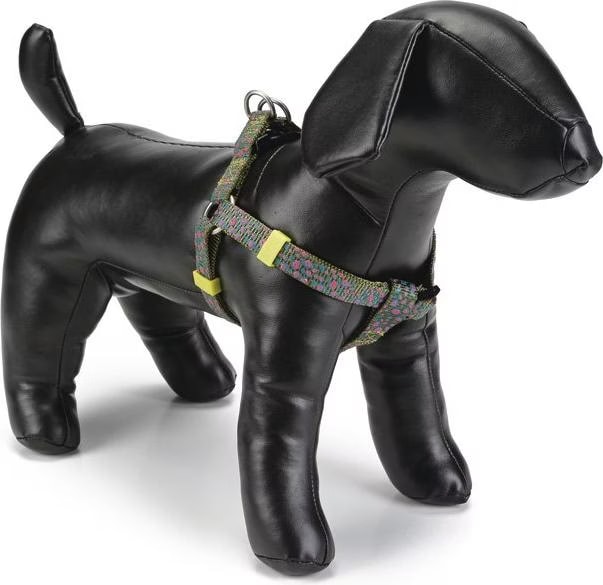 Meilleurs prix pour Beeztees BZ NY GESCH SPIRA HEGRUEN 35-6 (Chien, Sport canin), Collier + laisse