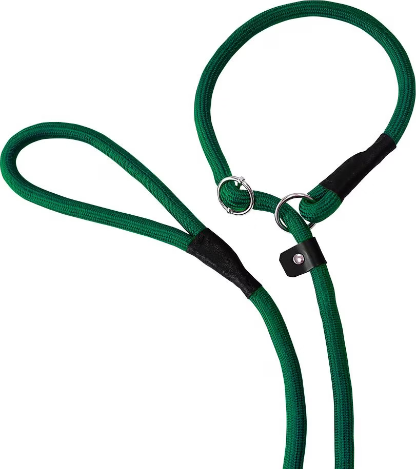 Comparer les prix de Nobby Laisse pour Retriever Fun Uni (Chien, Sport canin), Collier + laisse