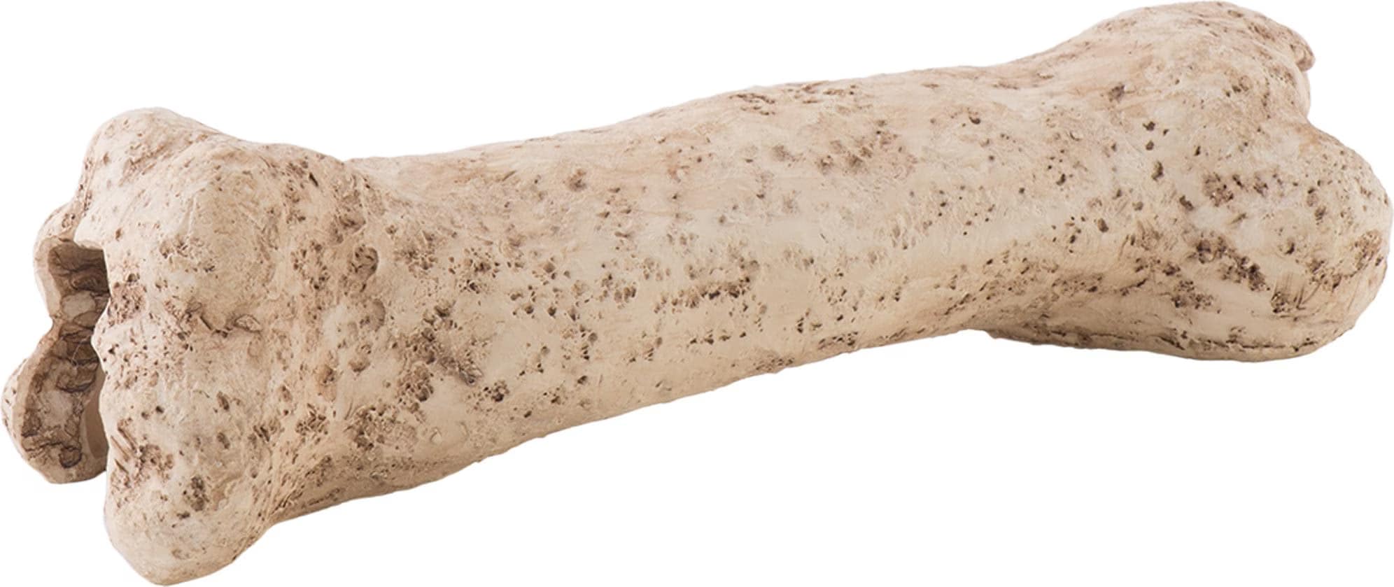 Comparer les prix de Exo Terra Os de dinosaure, Décoration d'aquarium