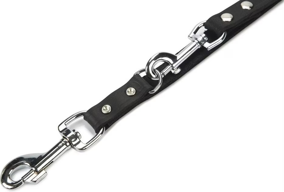 Beeztees Laisse pour chiens (Chien, Sport canin), Collier + laisse