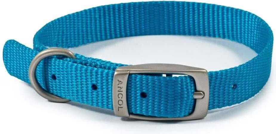 Comparer les prix de Ancol Hundehalsband Viva (5, Chien, Gnral), Collier + laisse