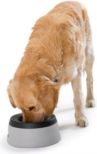 Gamelle de voyage 1,4L HUNTER Road Refresher pour chien - 25 cm de diamètre