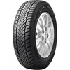 Maxxis MA-PW (205/70R15 96T, Hiver)