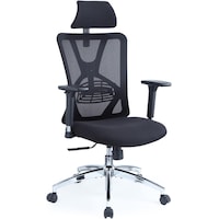 Ticova Desk chair with lumbar support