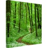 Bilderwelten Sentiero romantico della foresta (60 x 60 cm)