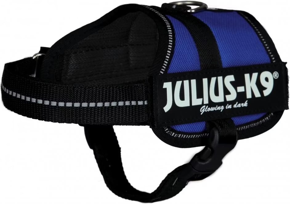 Julius-K9 Harnais Power pour petits chiens ergonomique, Laisse