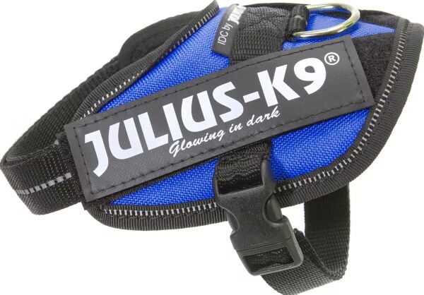 Harnais julius idc 2xs bleu JULIUS 16IDC-B-B2 Bleu
