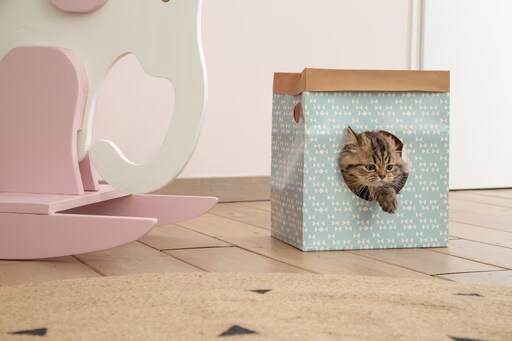 Beeztees Sac de jeu en papier pour chatons Raisa