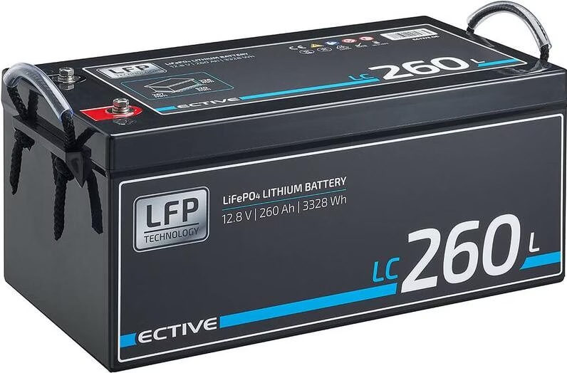 LIFEPO4 BATTERYZELLEN,BATTERIA LIFEPO4 Batteria Da 12V 300 Ah, Batteria - Foto 2