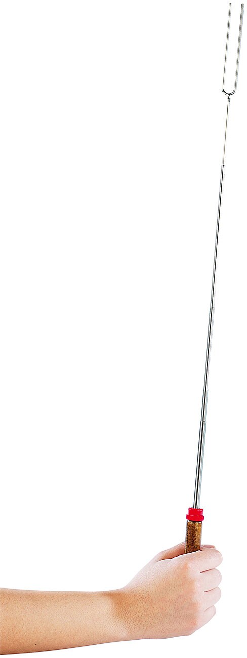Infactory Teleskop-Grillgabel & Grill-Spiess kaufen