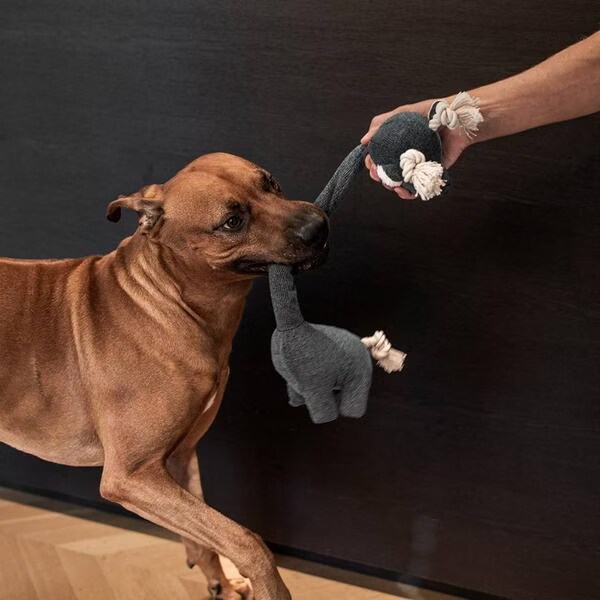 Jouet Chien – Peluche girafe George coloris bleu – 20 x 52 cm