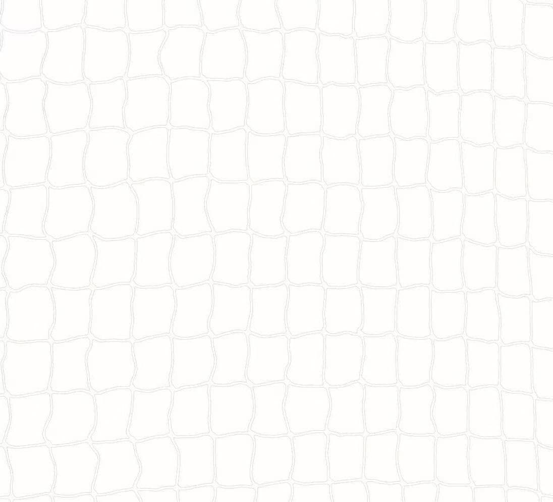 Comparer les prix de Filet de protection - TRIXIE - 3 × 2 m - Transparent - Résistant aux intempéries - Maille 3 × 3 cm