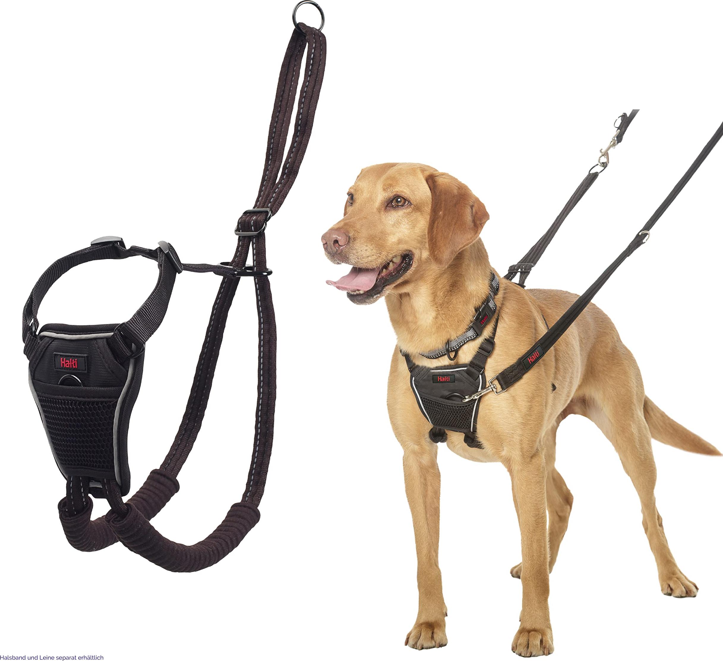 Meilleurs prix pour Company of Animals Harnais Halti No-Pull (Chien), Collier + laisse