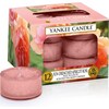 Yankee Candle Sun Drenched Apricot Rose (9.80 g)