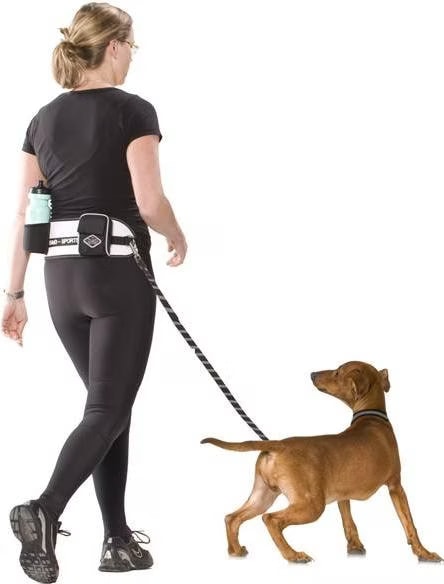Europet Ceinture De Jogging Blanche