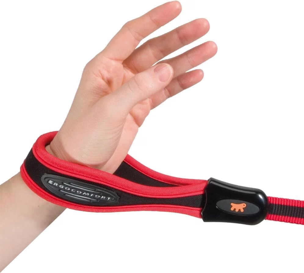 Ferplast Ferplast Laisse pour chiens en nylon ERGOCOMFORT G20/120, poignée ergonomique, rembourrage souple, 20 mm x L 120 cm Argent Argent