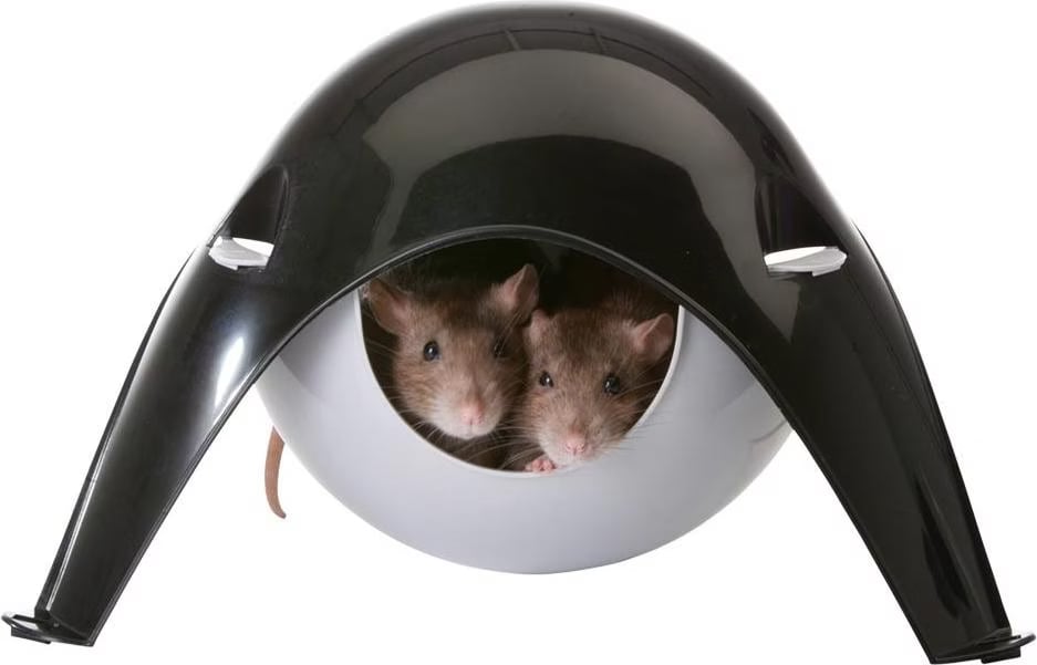 Meilleurs prix pour Maison rongeurs Sputnik