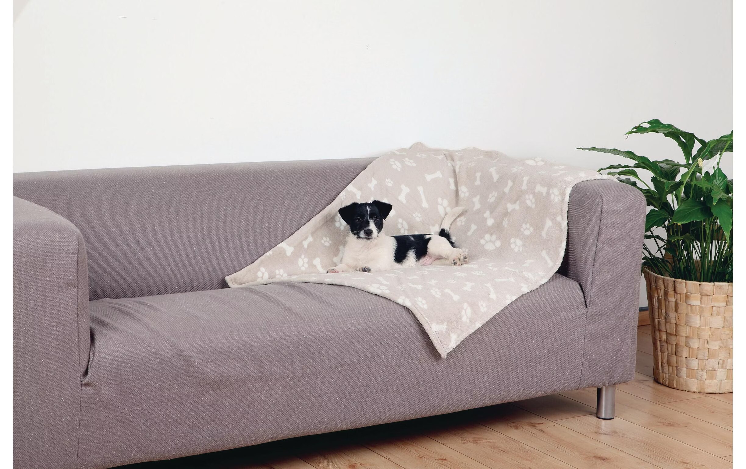Couverture Trixie Kenny pour chien - L 150 x l 100 cm, beige
