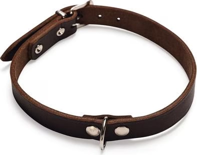 Meilleurs prix pour Collier Chien - Flamingo Collier Rondo Marron - 47 x 1,8 cm