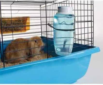 Savic Gourde Source 300 ml