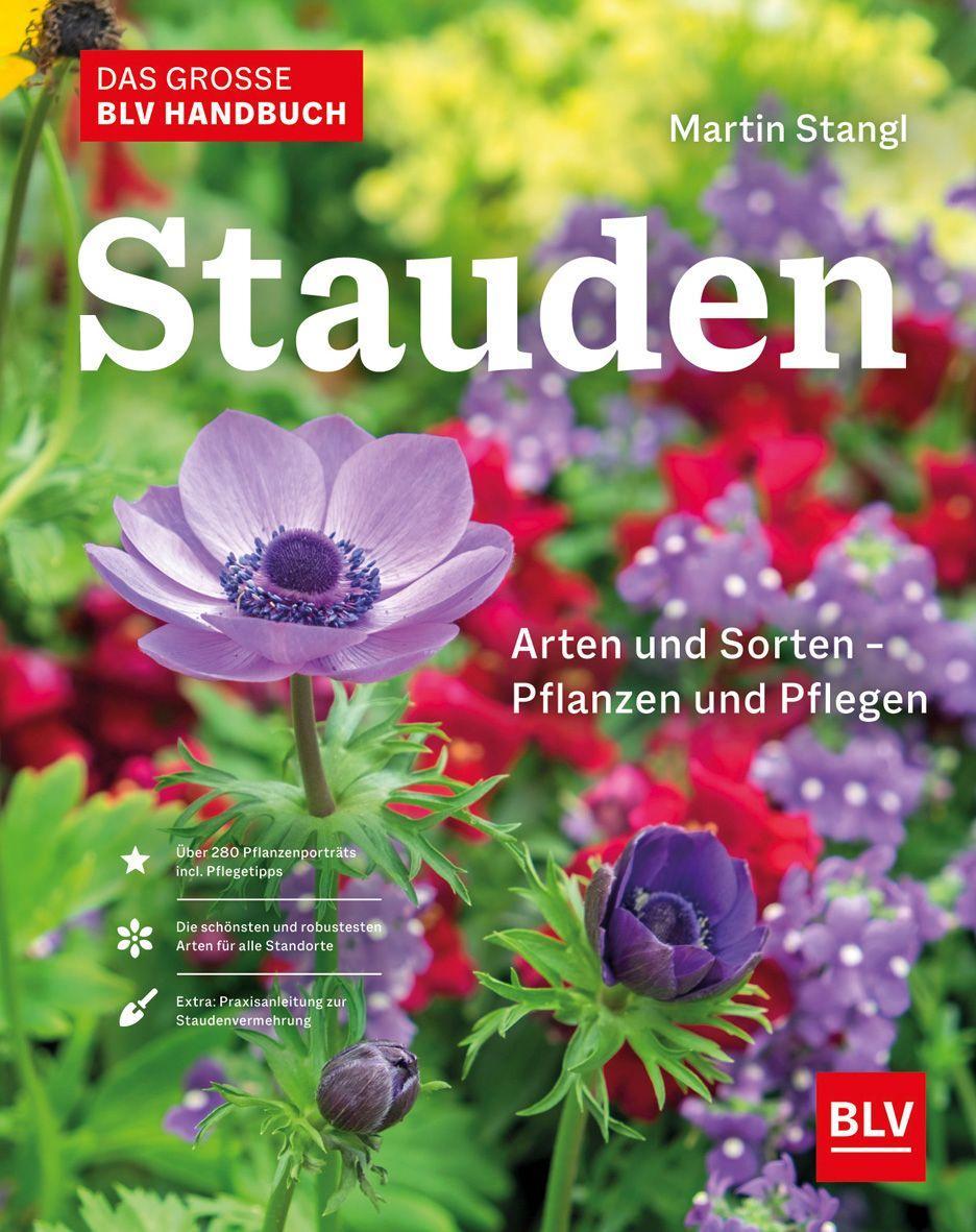 Das BLV Handbuch Stauden (Deutsch) kaufen