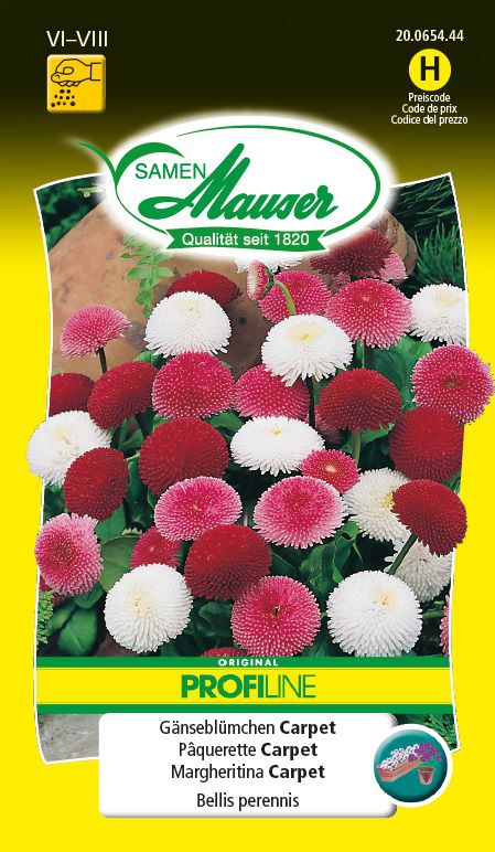Samen Mauser Gänseblümchen Carpet (Blumensamen) kaufen